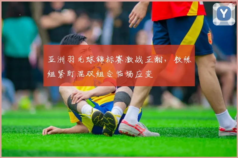 亚洲羽毛球锦标赛激战正酣,教练组紧盯混双组合临场应变 - 竞彩网推荐