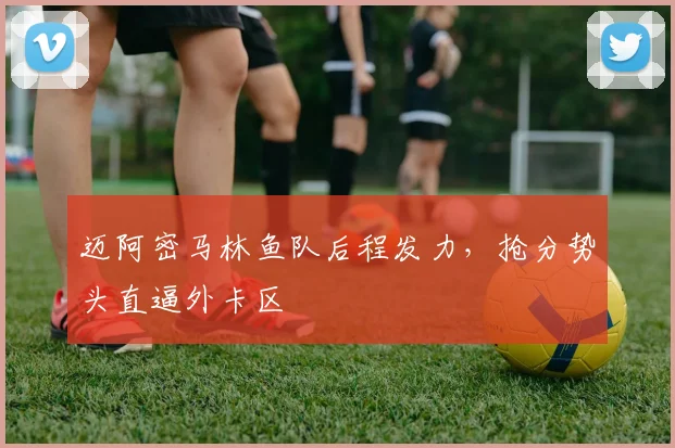 迈阿密马林鱼队后程发力,抢分势头直逼外卡区 - 竞彩网推荐
