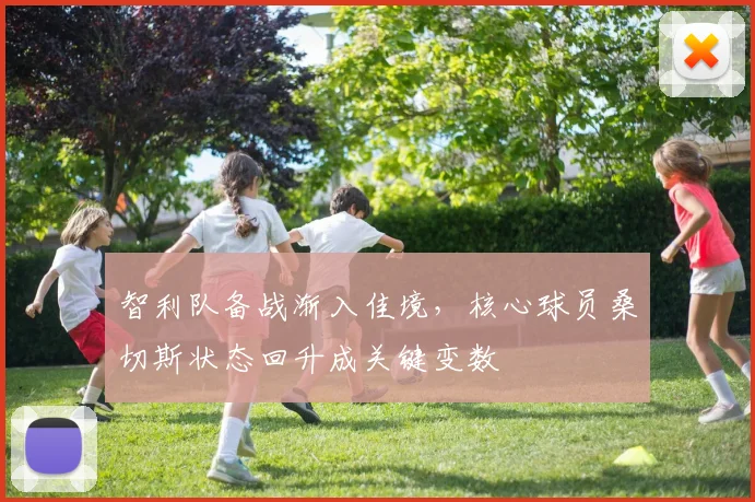 智利队备战渐入佳境,核心球员桑切斯状态回升成关键变数 - 竞彩网推荐