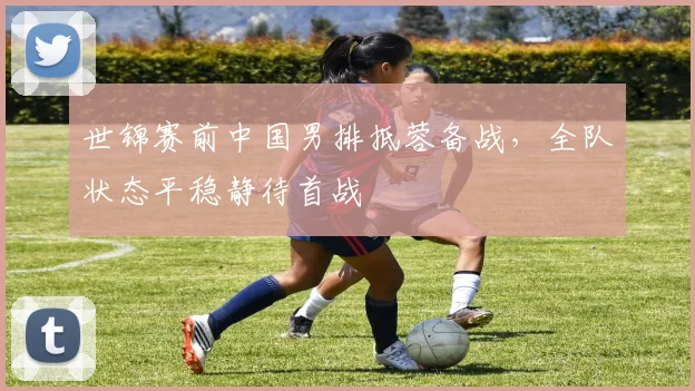 世锦赛前中国男排抵蓉备战,全队状态平稳静待首战 - 竞彩网推荐